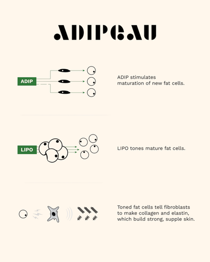 Adipeau Volume Cream